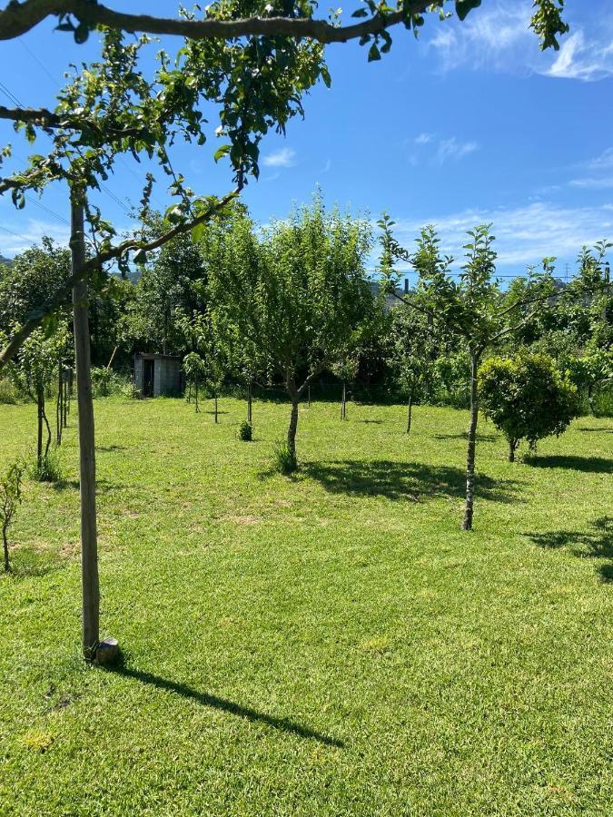Casa Dos Avos Villa Póvoa de Lanhoso Kültér fotó